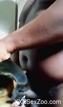 Black hunk fucks furry mutt in the pussy after blowjob