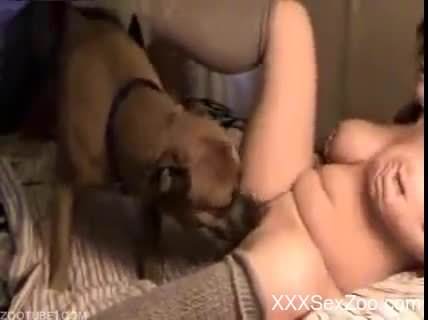 Thick brunette in knee-length socks fucking her dog