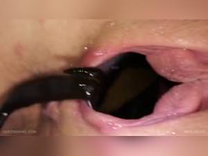 Girls Fuck Dogs, Leeches XXX