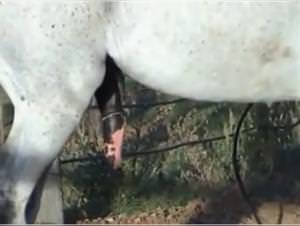 Woman Rides Wild Horse, Extreme X Video Part 1