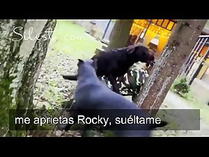 Excessive Dog Fisting Taboo Beastiality Act