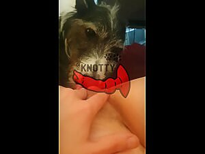 Fuck with dog the slut who loves animals