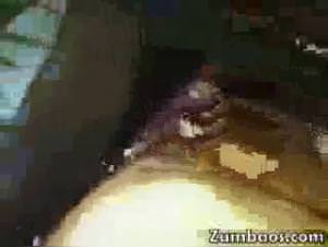 Drunken Sluts, Wild Dog Action: Extreme Animal Sex