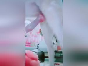 Petsex, bestiality videos, extreme animal porn