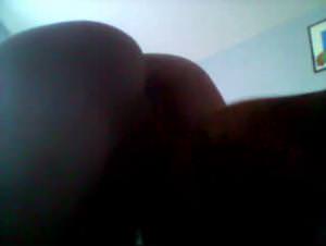 Dog Licks, Passionate Bitch