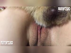 ArtOfZoo - Tiny - K9 Desire