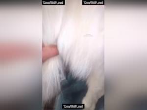 Spider Girls Dog Sex - Extreme Porn Videos