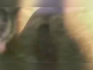 Blonde Dog Sex Dunes