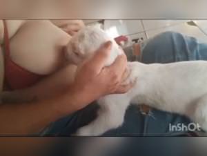 Dog milk fetish: extreme taboo desires