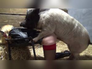 Yasmin Dog Sex Video