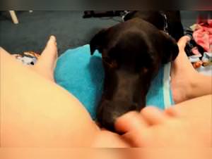 Dog Art: Wife Unleashed, Wild Knots