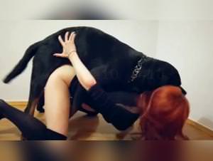 Denise Fraizer: The Slut Whore Experiences Wild Desires With The Porn Zoo Monster