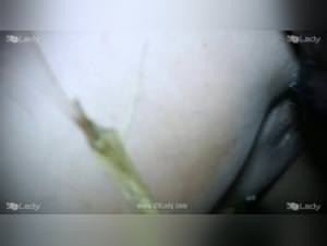 Animal Sluts: Whores Who Fuck Their Dogs