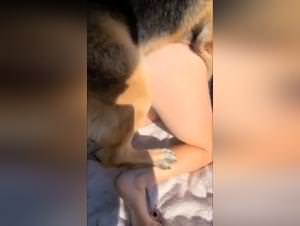 She Dog Fucks Outdoors USA