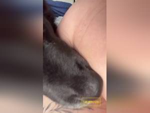 Forbidden licking : beastly pleasure