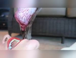 Wild dog sex, extreme blowjobs