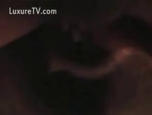 Blonde Gets Fucked by Dog