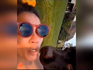 Dog sex fantasy, bitch craving