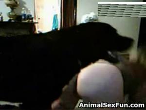 Woman sucks wild dog