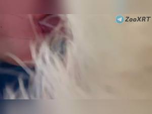 Brunette fantasy doggy sex compilation