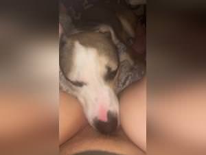 Bitch Licked by Dog Part 1