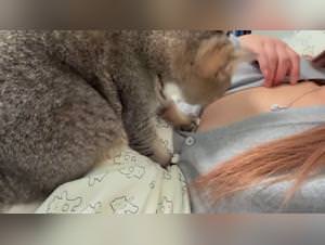 Chinese girl cat fetish