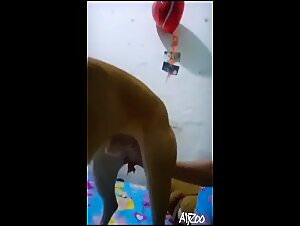 She screws her dog videos, show beastiality