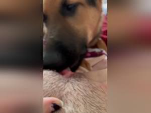 Teen Dog Pussy Lick