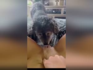 First Lick: Fucking A Dog on Tick Zoo TV