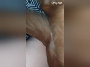 Wife horny dog first time