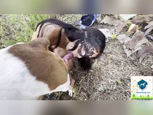 Dogs Knot Girls: Beastiality Videos - Extreme Action