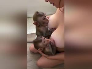 Breeders Doggy Sluts