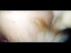 The New Stages of Animated BDSM