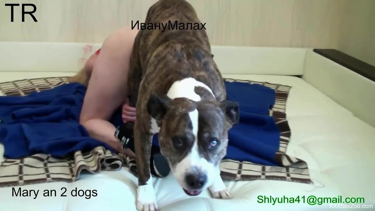 Bleeding pussy getting fucked by a really sexy dog