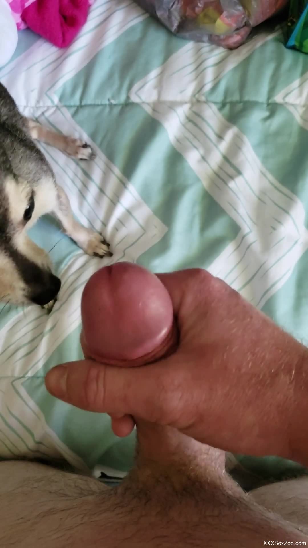 Dude blows a load all over a kinky-looking pooch