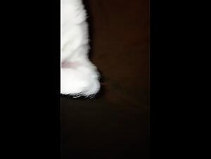 Denise Frazier & Her Boyfriend's Dog Compilation Video on Tickzoo.com