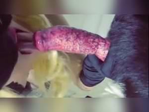 Dog fucks women compilation extreme