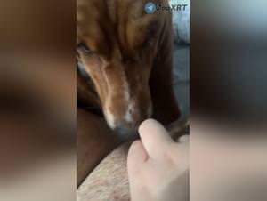 Doggy-lust-slutty-girl-pleasure