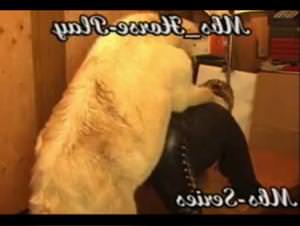 Horse Sex Compilation: Extreme LustMonster Videos