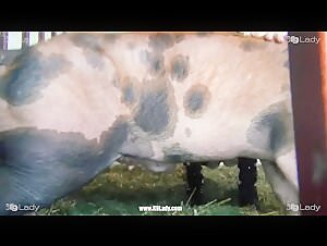 Forbidden Perversion: A Bestial Experience