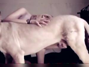 Woman Rides Horse Hardcore 13 - ZooTube XXX