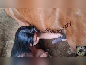 Brooke surrenders to stallion