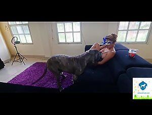 Alissonsprod: wild dog sex, hardcore bestiality