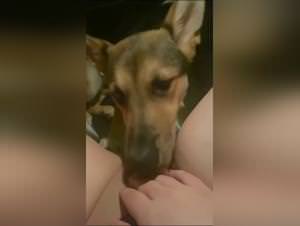 Dog fucking woman in zoo porn parkplan