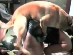 Desperate slut Gets Dogged: Dark Mistress 6