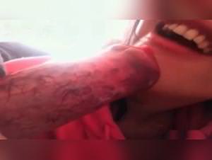 Amandora, animal sex, dog fuck