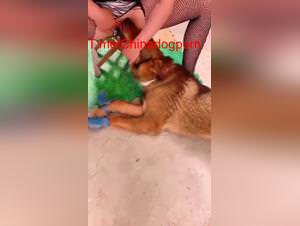 Chinese wife's dog obsession