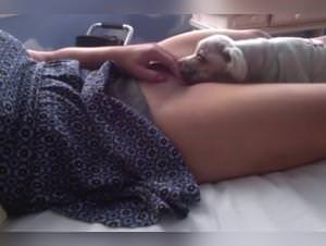 Slut Fucks Her Dog Extreme