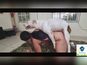 Slut Gets Dogged, Extreme Tush Action