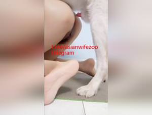 Wild dog, extreme fetish sex